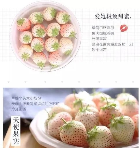 巾幗農創銷萬戶 路橋優質農產品線上購