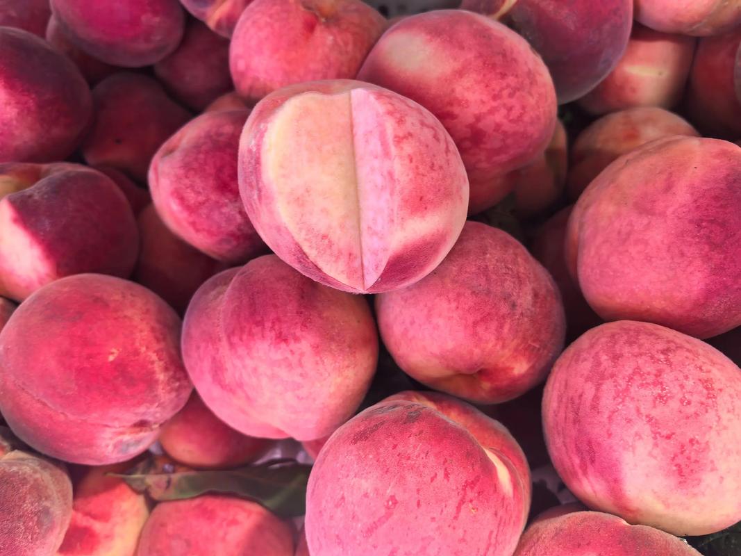 比領導都忙的優質初級農產品