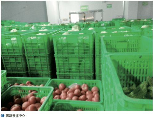 農產品冷鏈‘最先一公里’ 基礎設施亟待發展，破解初級農產品保鮮難題