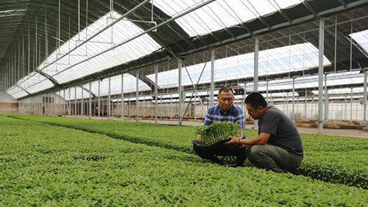 漯河首創(chuàng)農(nóng)民職稱評(píng)審 初級(jí)農(nóng)產(chǎn)品獲認(rèn)證新通道