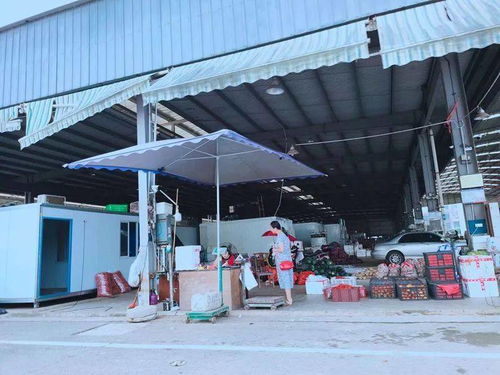 南充川北農(nóng)產(chǎn)品交易中心 區(qū)域農(nóng)產(chǎn)品流通的重要樞紐